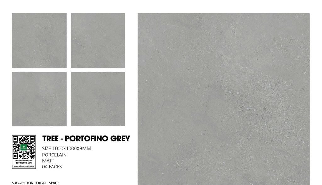 Gạch 100x100 Nhập Khẩu Ấn Độ MT1022M